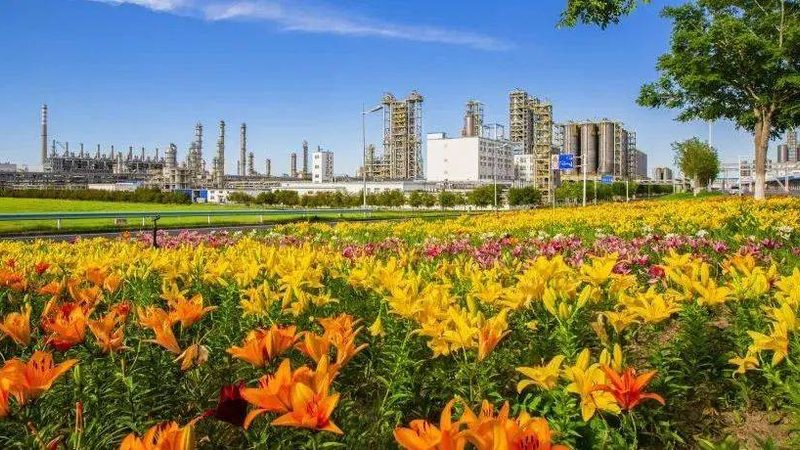 广州化工产品代理，如何选择正规公司？**